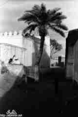 ���� ������ ��� ��� ����